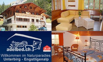 Unterbirg - Engstligenalp (Bed and Breakfast)